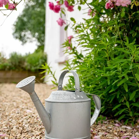 Hailey's Haven 度假居