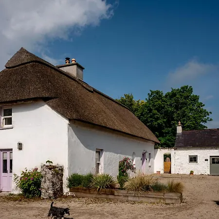 Hailey's Haven * Dungarvan (Waterford)